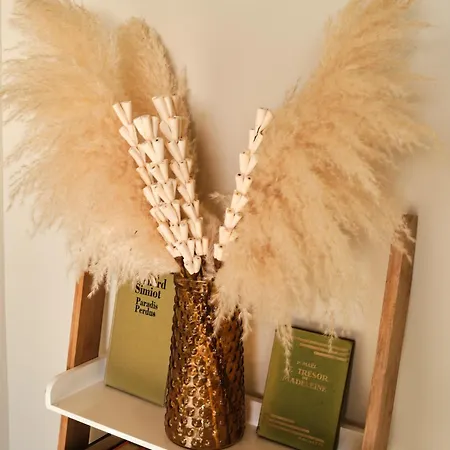 Standing - Village Apartament Lumio (Corsica)